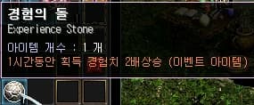 경험의 돌