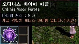 오디니스 바이퍼 퍼플